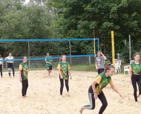 66596960_2425959307489257_7966977481527787520_n