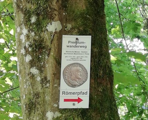 66817550_2430049463746908_6188601059498262528_n