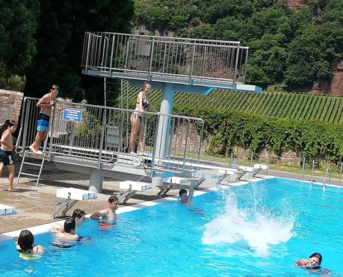 67343103_2430050467080141_5243255852588072960_n